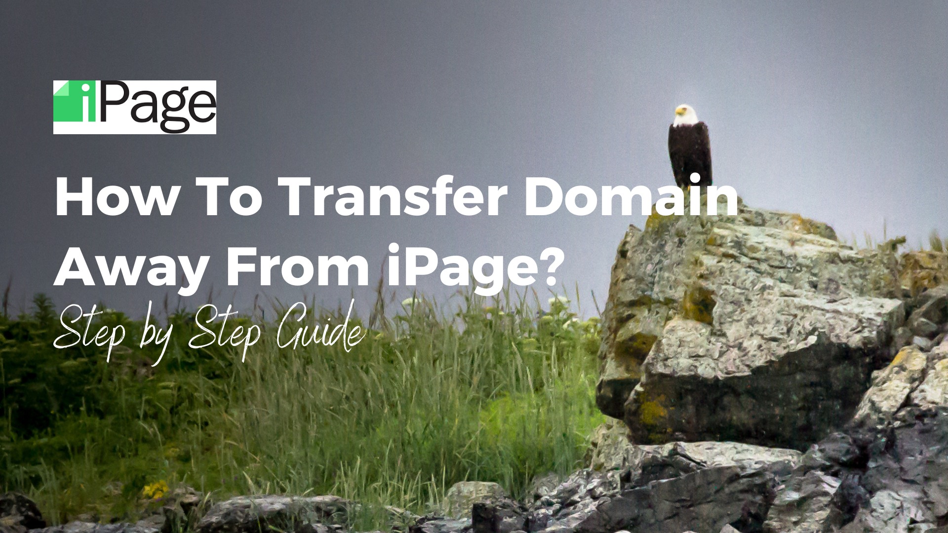Transfer domain away from iPage