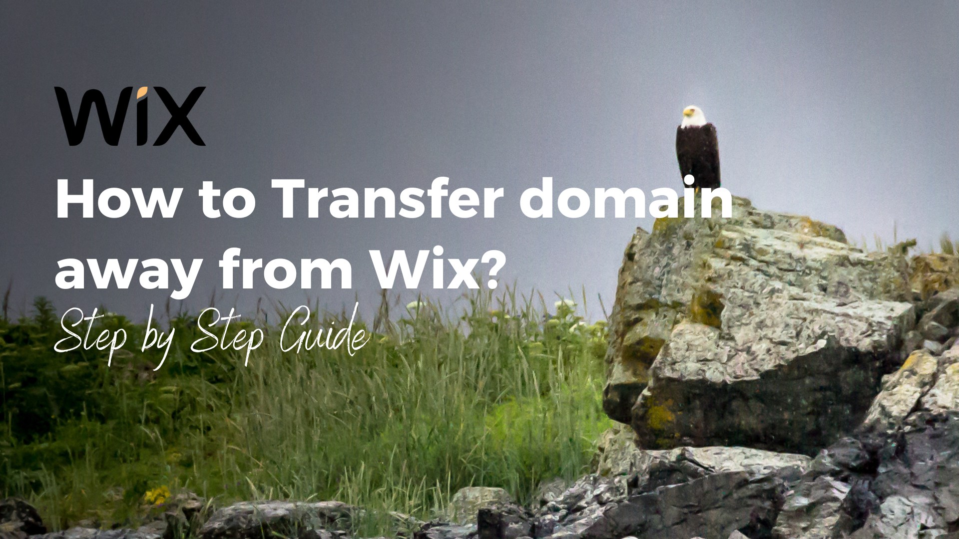 Transfer Domain Away from Wix